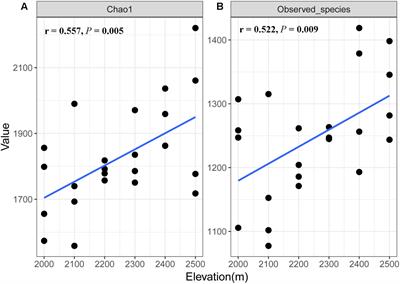 Fungal Communities Along a Small-Scale Elevational Gradient in an Alpine Tundra Are Determined by Soil Carbon Nitrogen Ratios